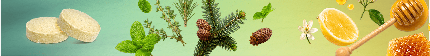 Pagina Web Flomax Gola Natura 11